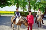 Ferienwohnung in Fehmarn OT Schlagsdorf - FeWo Nr. 1 - 4-Personen - Bild 13