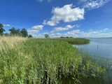 Ferienwohnung in Garz - Ferienwohnung - R&uuml;genbrise am Wasser mit Steg und Paddelboot - alles inklusive - Bild 16