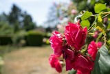 Ferienwohnung in Grömitz - Carpe Diem - Bild 22