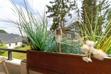 Ferienwohnung in Gr&ouml;mitz - Strandgr&uuml;n - Bild 12