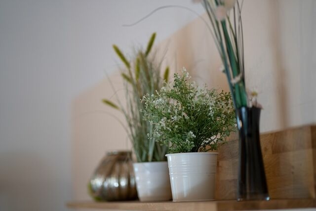 Ferienhaus in Dahme - Chalet Ostsee A - Bild 14