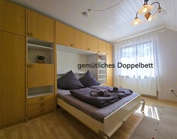 Silbermöwe