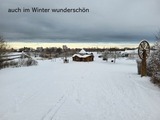 Ferienwohnung in Wendtorf - Silbermöwe - Bild 13