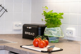 Ferienwohnung in Gr&ouml;mitz - Hanseat II Whg. 101 - Bild 16