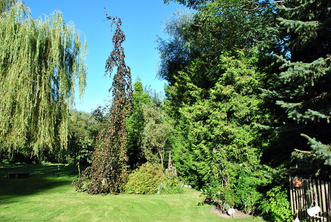 Ferienwohnung in Hageb&ouml;k - Ferienwohnung Thiedmann - Bild 15
