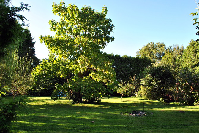 Ferienwohnung in Hageb&ouml;k - Ferienwohnung Thiedmann - Bild 17