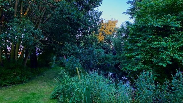 Ferienhaus in Sch&ouml;nwalde - Alte Kate - Bild 25