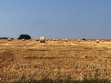 Ferienwohnung in Fehmarn OT Burg - Aura - Bild 10