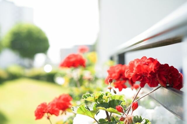 Ferienwohnung in Neustadt-Pelzerhaken - Strandgl&uuml;ck 41- Haus Wiesbaden - Bild 14