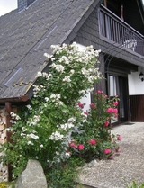 Ferienhaus in S&uuml;ssau - Buttkereit - Bild 20