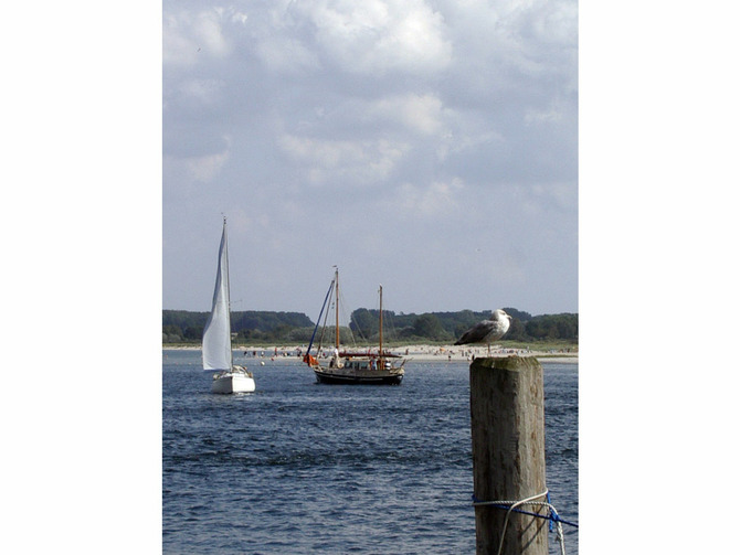 Ferienwohnung in Travem&uuml;nde - Ferienwohnung LEE - Bild 14