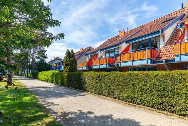 Ferienwohnung in Boltenhagen - Papillon 8-3 Wohnung Auszeit - Bild 8