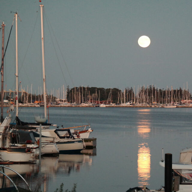 Ferienwohnung in Fehmarn OT Burgstaaken - Hausboot Kaddi`s SunDREAM - Huus & Meer - Burgstaaken - Bild 22
