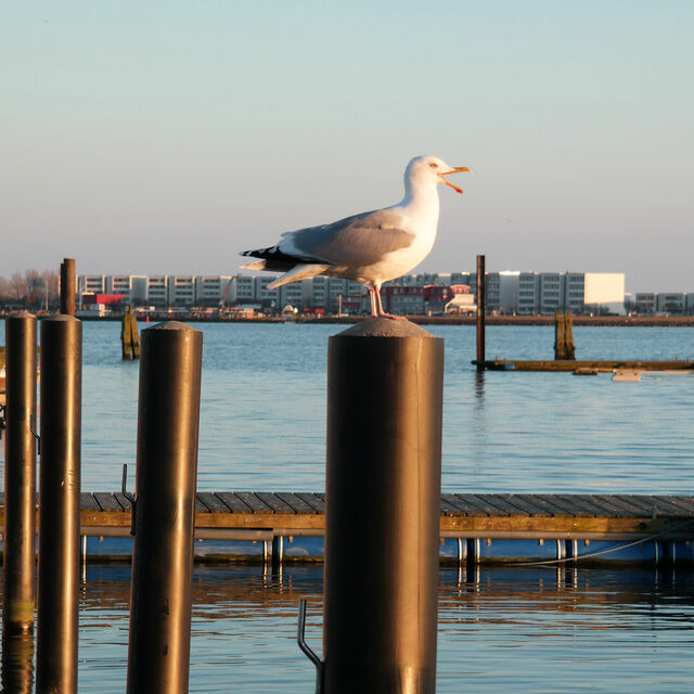 Ferienwohnung in Fehmarn OT Burgstaaken - Hausboot Kaddi`s SunDREAM - Huus & Meer - Burgstaaken - Bild 23