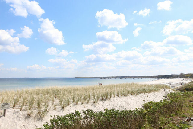 Ferienwohnung in Boltenhagen - Ferienwohnung Am Naturstrand - Bild 11