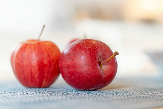 Ferienhaus in Sch&ouml;nwalde - Oceanhouse - Bild 18