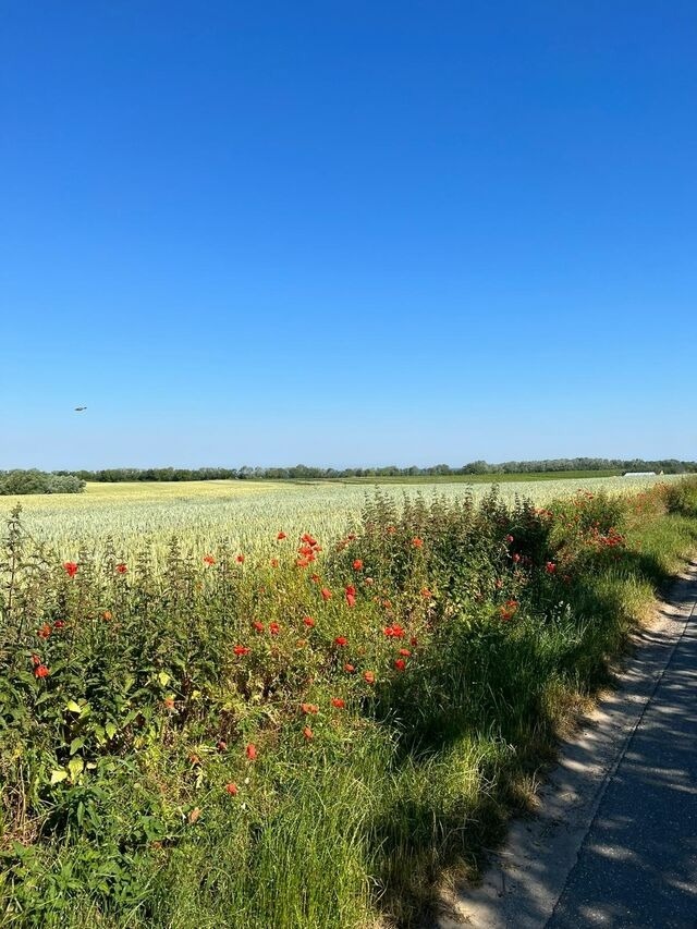Ferienwohnung in Hohen Wieschendorf - Mimi an der Ostsee - ABC340 - Bild 14
