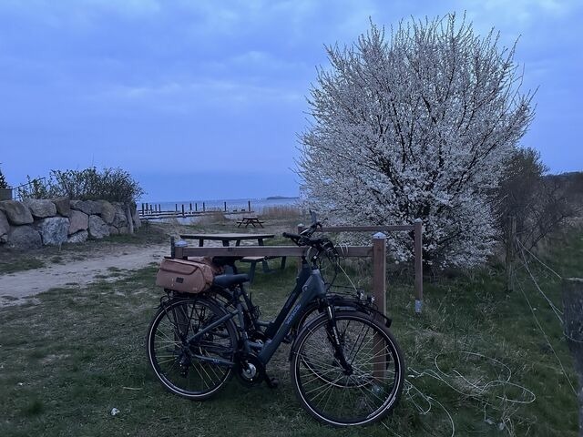 Ferienwohnung in Hohen Wieschendorf - Ostsee-Panorama No. 4 - Aurora Vista - ABC568 - Bild 21