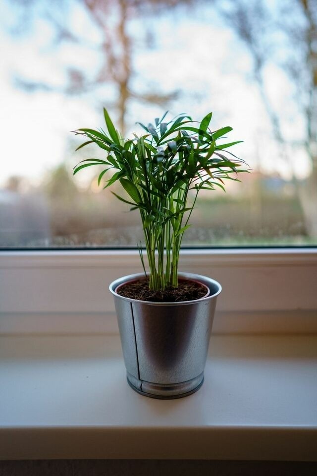 Ferienwohnung in Beckerwitz - MeerZeit - S&uuml;nnenkieker WE4 - ABC287 - nur Ferieng&auml;ste! - Bild 12