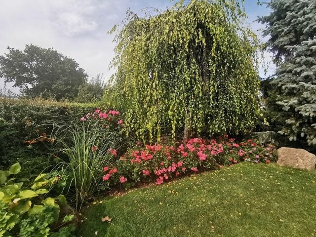 Ferienwohnung in Wismar - Blick Wismarer Bucht - ABC51 - Bild 14