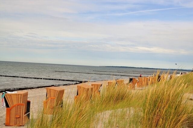Ferienwohnung in Wismar - Blick Wismarer Bucht - ABC51 - Bild 20