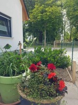 Ferienwohnung in Wismar - Voss barrierefrei - ABC313 - Bild 7