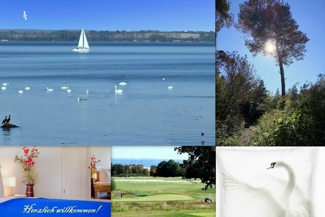 Ferienwohnung in Hohen Wieschendorf - Schwanensee No. 23 - Aurora Vista - ABC530 - Bild 25