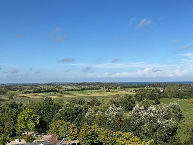 Ferienwohnung in Sch&ouml;nberg-Holm - M&ouml;we 1 - Bild 2