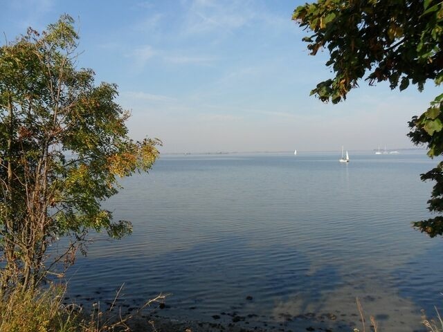 Ferienwohnung in Insel Poel - FeWo Thule Poel an der Ostsee - ABC368 - nur Ferieng&auml;ste! - Bild 20
