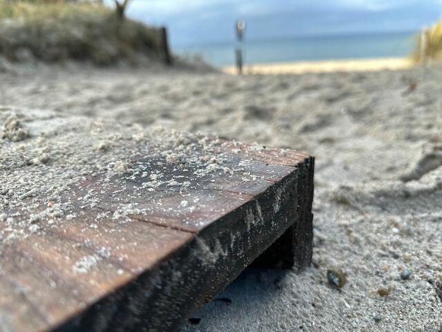 Ferienhaus in Barendorf - Harkensee -Dassow - Haus Schwalbennest - Bild 17