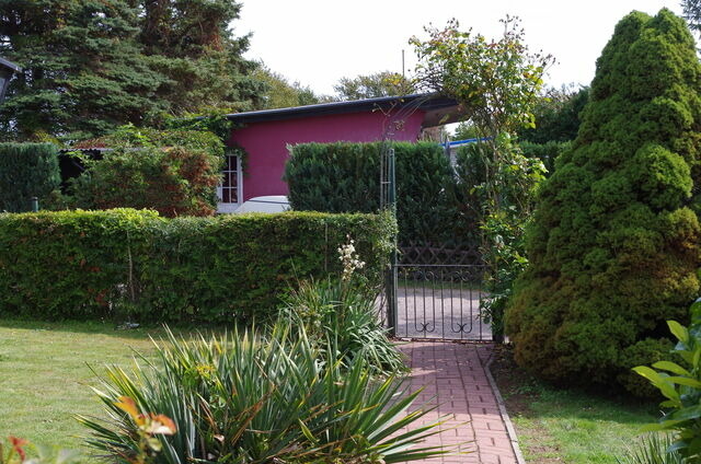 Bungalow in Sundhagen - Ferienhaus Ostseebodden - Bild 5
