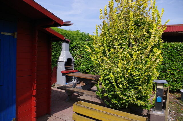 Bungalow in Sundhagen - Ferienhaus Ostseebodden - Bild 10