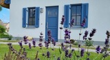 Ferienhaus in Zierow - Reethaus "Dat Lavendelhus" - Bild 15