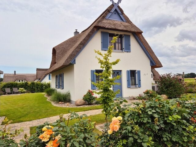 Ferienhaus in Zierow - Reethaus "Dat Lavendelhus" - Bild 17