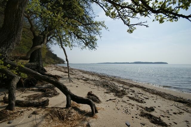 Ferienwohnung in Alt Reddevitz - H&ouml;fthus 8 - Bild 20