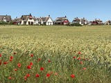 Ferienhaus in Zierow - Reethaus "Pusteblume" - Bild 25
