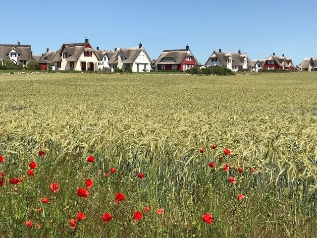 Ferienhaus in Zierow - Reethaus "Pusteblume" - Bild 25