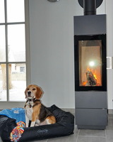 Ferienhaus in Zierow - Reethaus "Nicole****" - Bild 5