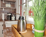 Ferienhaus in Zierow - Reethaus "Nicole****" - Bild 6