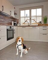 Ferienhaus in Zierow - Reethaus "Nicole****" - Bild 9