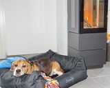 Ferienhaus in Zierow - Reethaus "Nicole****" - Bild 10