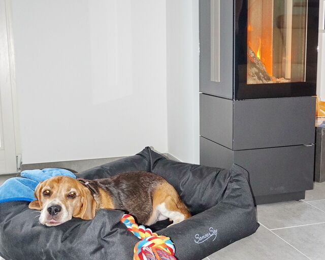 Ferienhaus in Zierow - Reethaus "Nicole****" - Bild 10