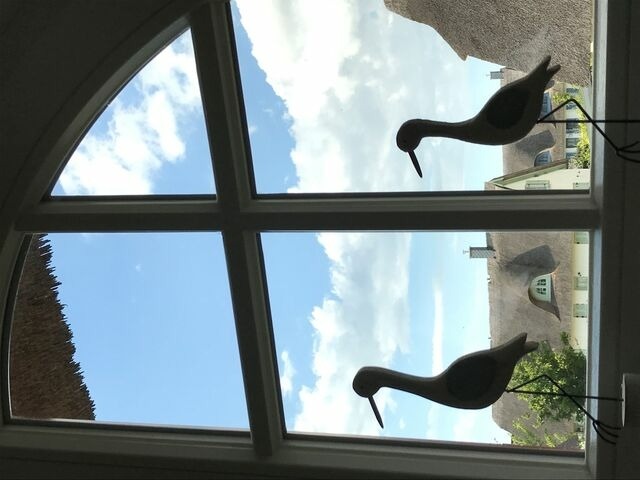 Ferienhaus in Zierow - Reethaus "Ostseemuschel" - Bild 20