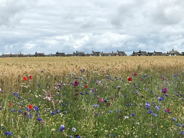 Ferienhaus in Zierow - Reethaus "Ostseemuschel" - Bild 21
