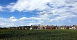 Ferienhaus in Zierow - Reethaus "Prignitzperle" - Bild 24
