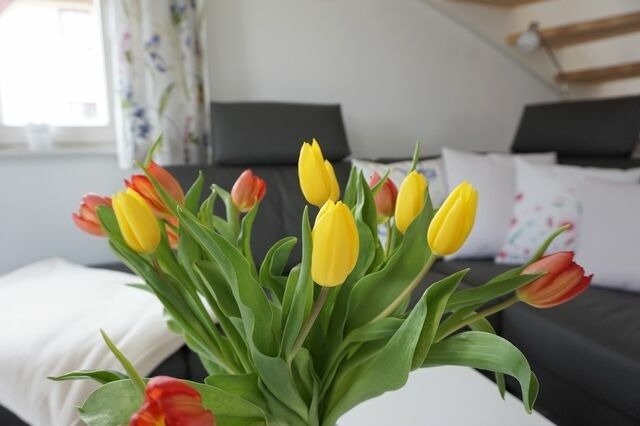 Ferienhaus in Zierow - Reethaus "H&uuml;s Kiek Inn" - Bild 9