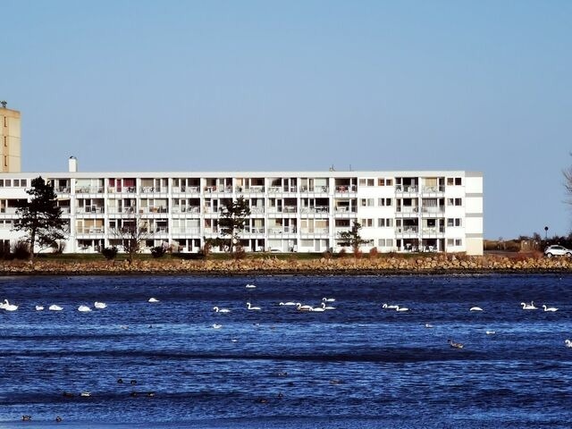 Ferienwohnung in Heiligenhafen - Strandhuus - Stw 33-EG-1 - Bild 3
