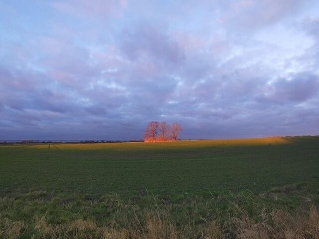 Ferienwohnung in Bastorf - Landhaus Ostseeblick Fewo 15 - Bild 15
