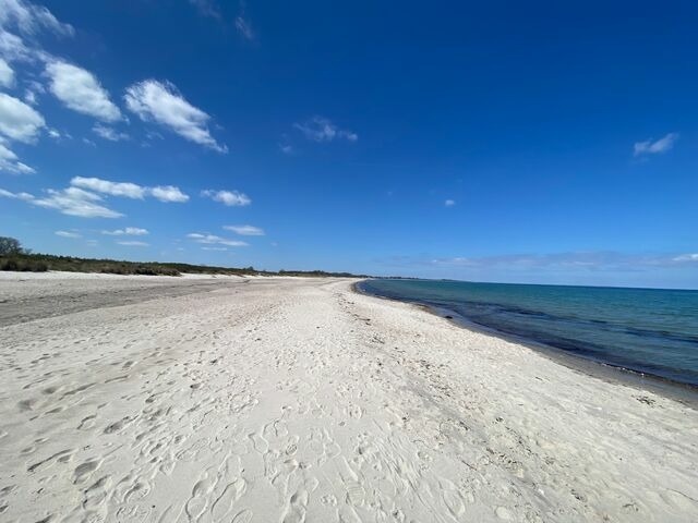 Ferienwohnung in Maasholm - Strandgaard - Bild 16