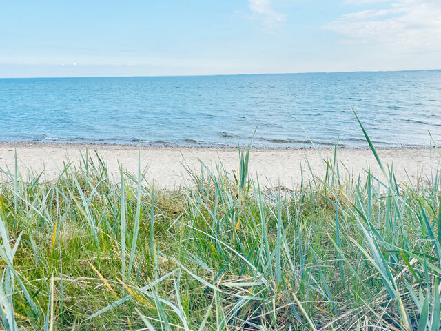Ferienwohnung in Maasholm - Strandgaard - Bild 23